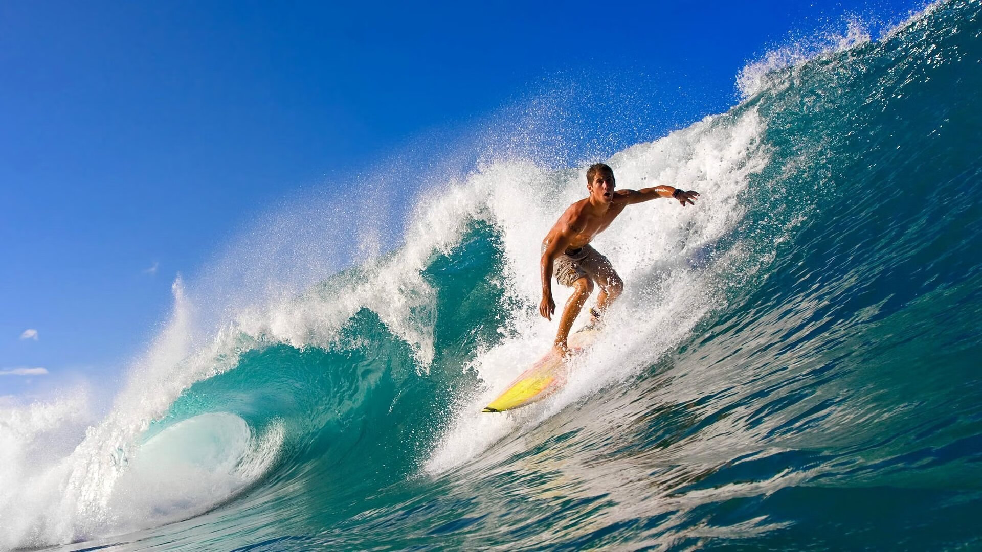 新闻中心发布人才引进计划，人才引进计划的具体要求